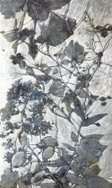 SB 0818
